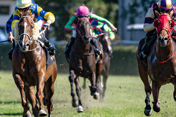 horse racing